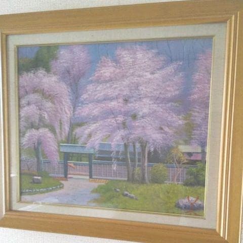 爛漫の桜 F8号 ( 肉筆画)