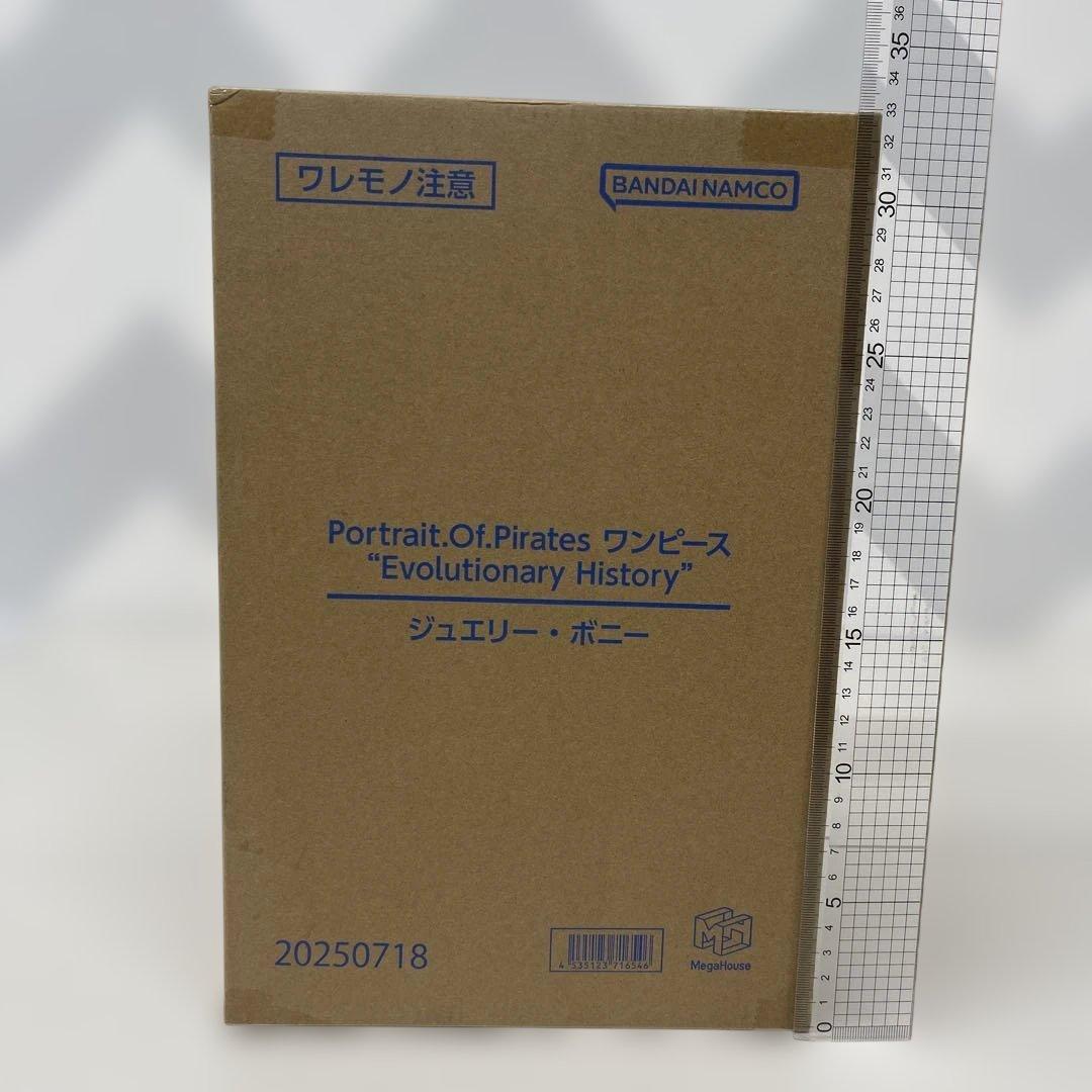 POPワンピース“Evolutionary History”ジュエリー・ボニー - メルカリ