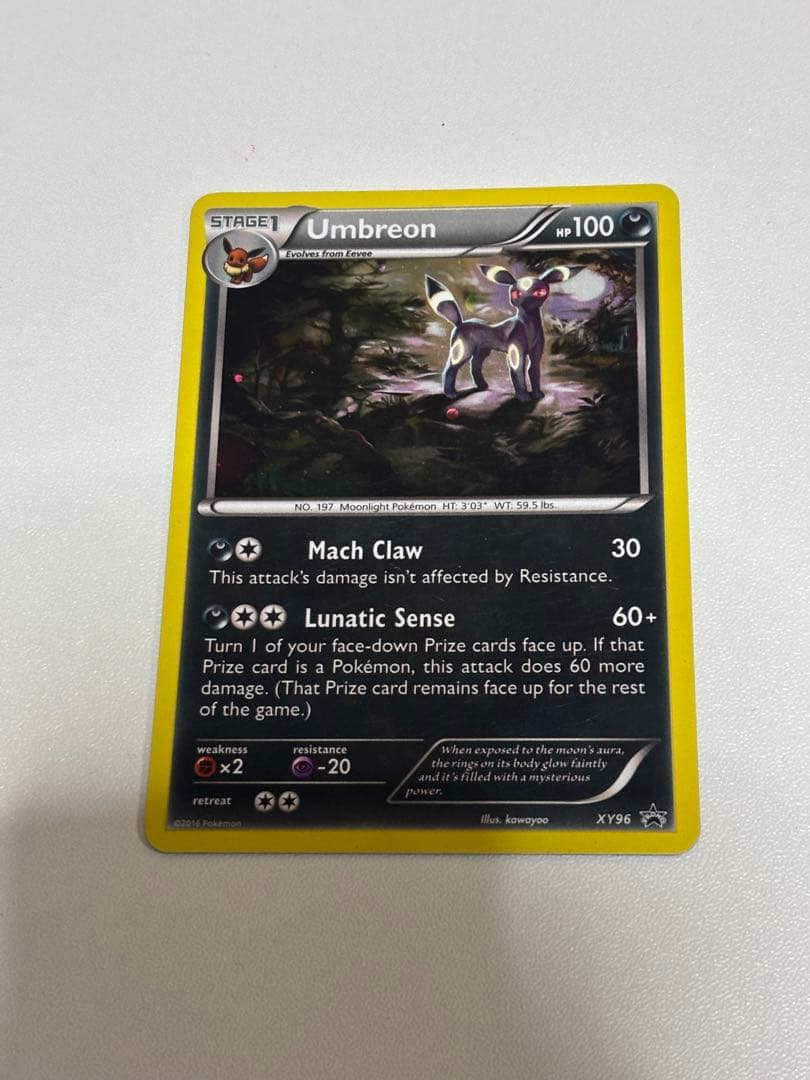 ブラッキーナイトバトルプロモ英語版 xy96 正規品Umbreon