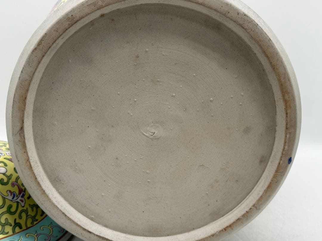 中国 清時代 粉彩 獅子摘み 花鳥紋大壺 送料込み251224 - メルカリ