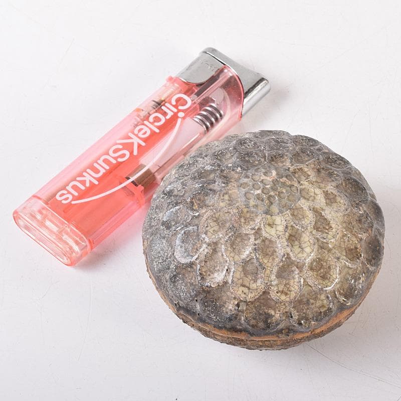 茶道具 大樋焼 菊形 香合 時代箱 N 7468 - メルカリ