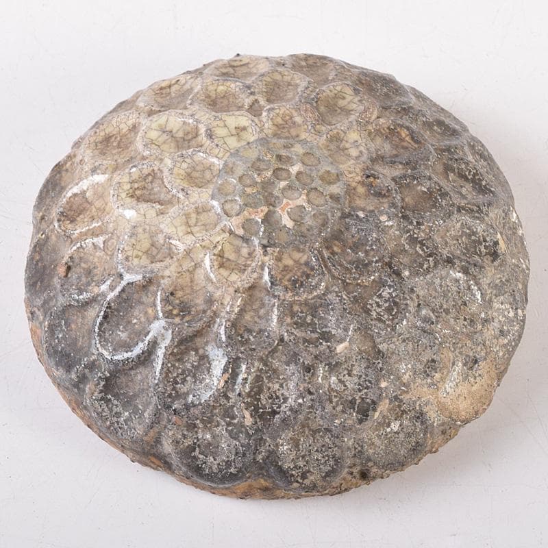 茶道具 大樋焼 菊形 香合 時代箱 N 7468 - メルカリ