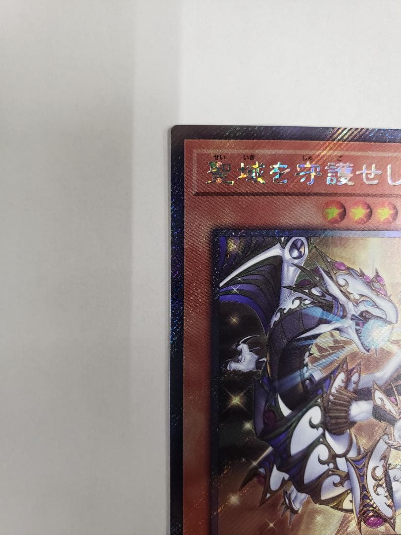 遊戯王 聖域を守護せし光の龍 EXSE エクシク - 遊戯王OCG デュエル