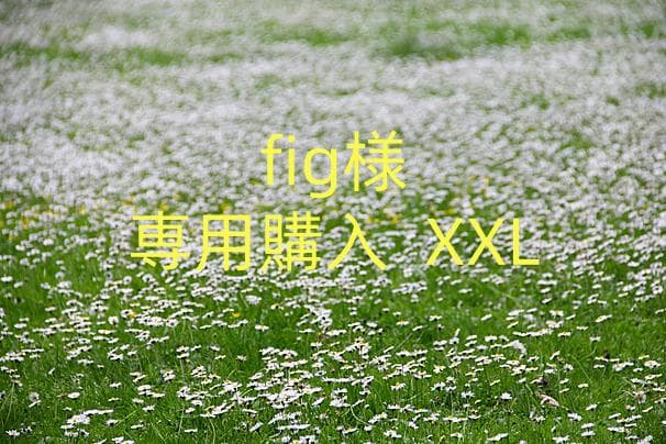 fig購入 XXL