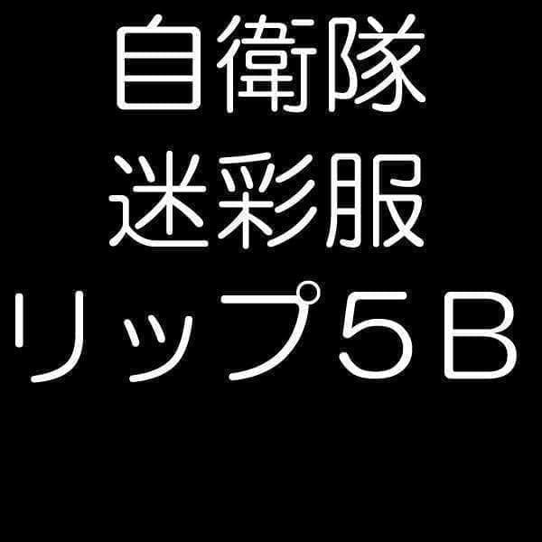 陸上自衛隊 リップストップ 迷彩服 ５Ｂ