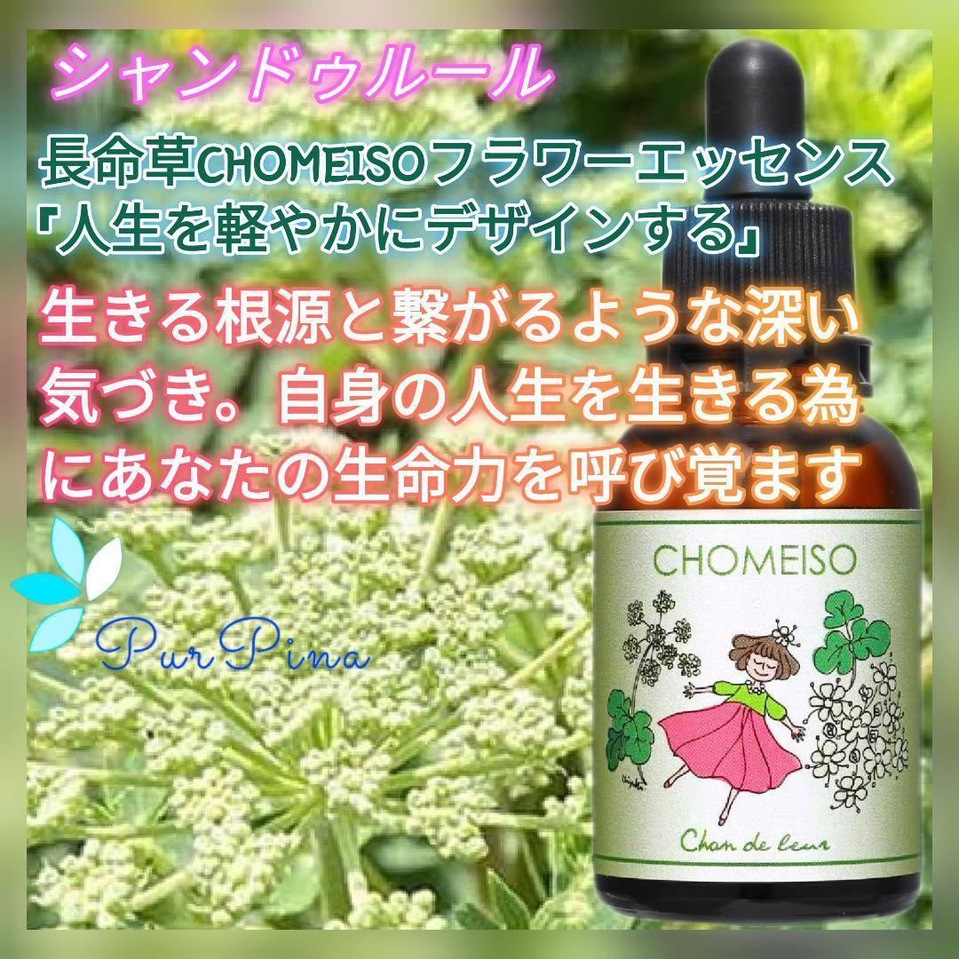 【予約品】長命草『命の雫』チョウメイソウ フラワーエッセンスのシャンドゥルール