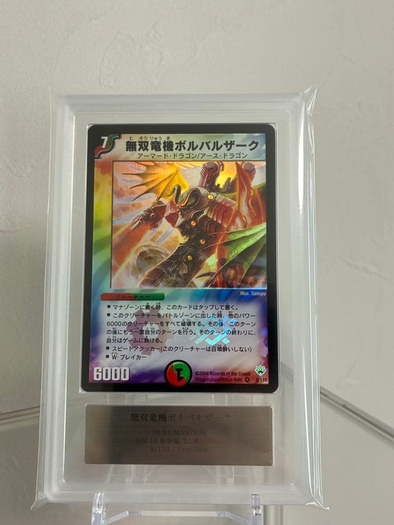 無双竜機ボルバルザーク　ARS9