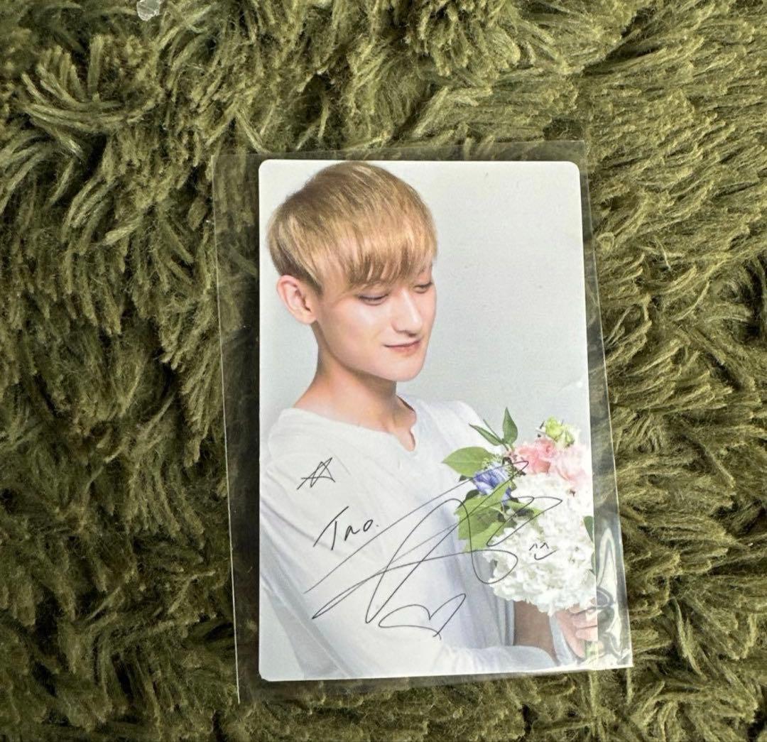 EXO NATURE REPUBLIC トレカ12枚セット プラス1枚 - メルカリ