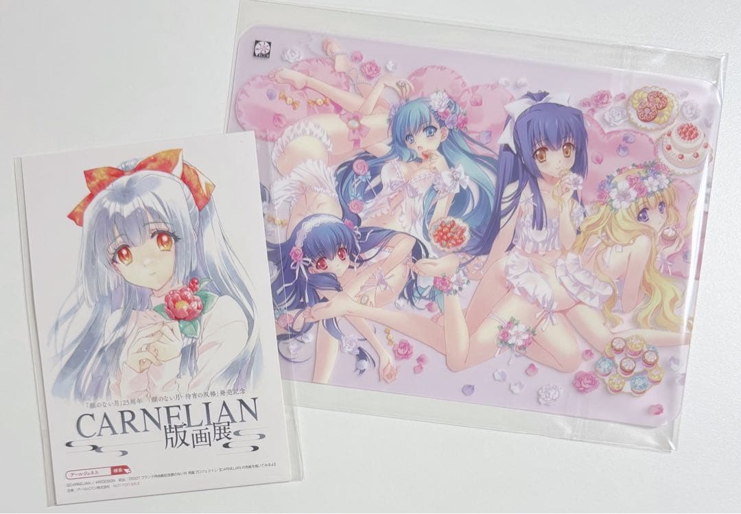 CARNELIAN 版画展 ポスカ ROOT ヒロイン クリア下敷き - メルカリ