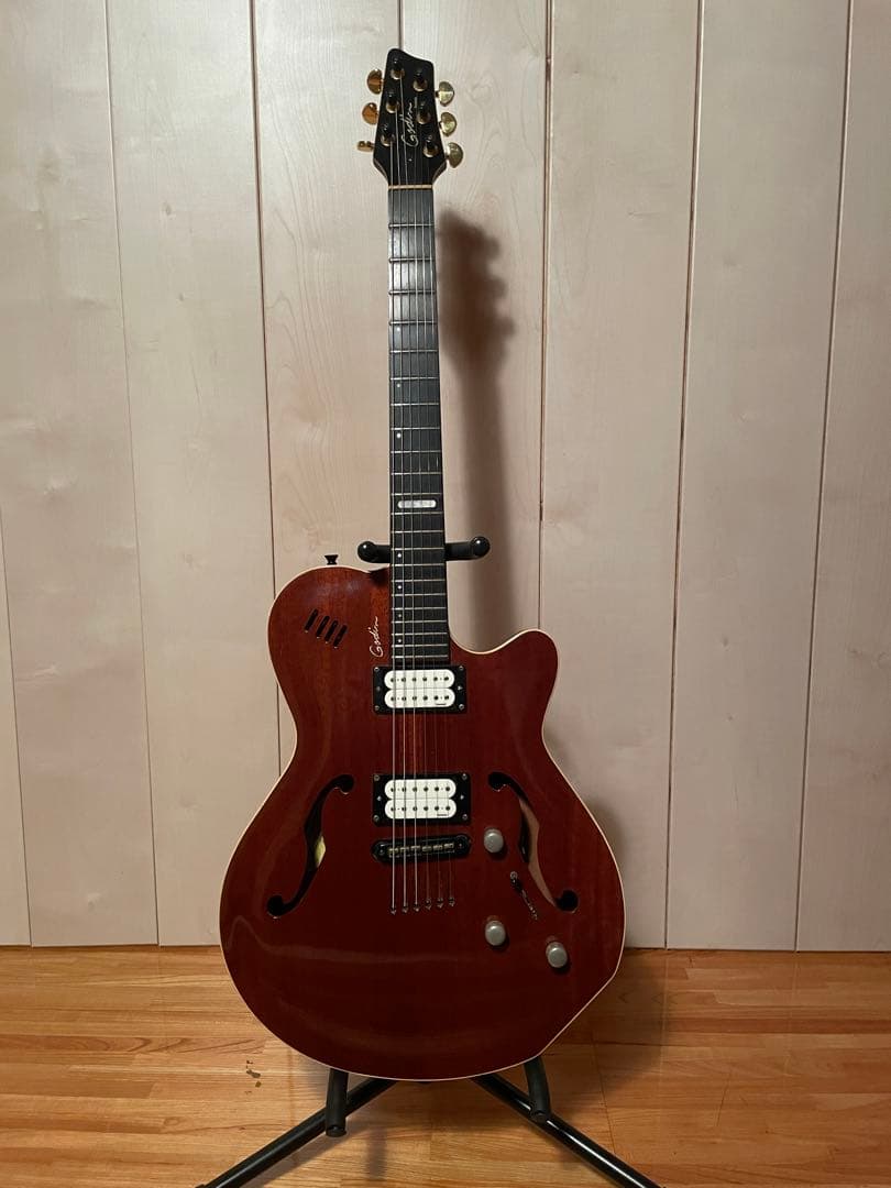 godin セミアコ　ゴダン　ギター　アコギ　dimarzio