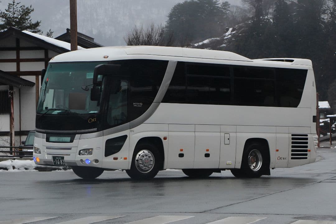 トビオリウミガメ バスコレクション