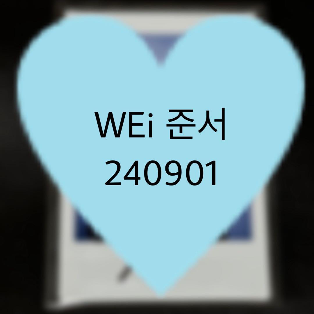 WEi ジュンソ ポラロイド