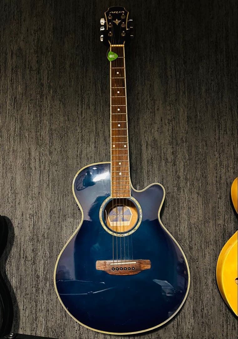 最終値下げ⭐︎生産終了品⭐︎エレアコ♪ARIA FET-STD BLS