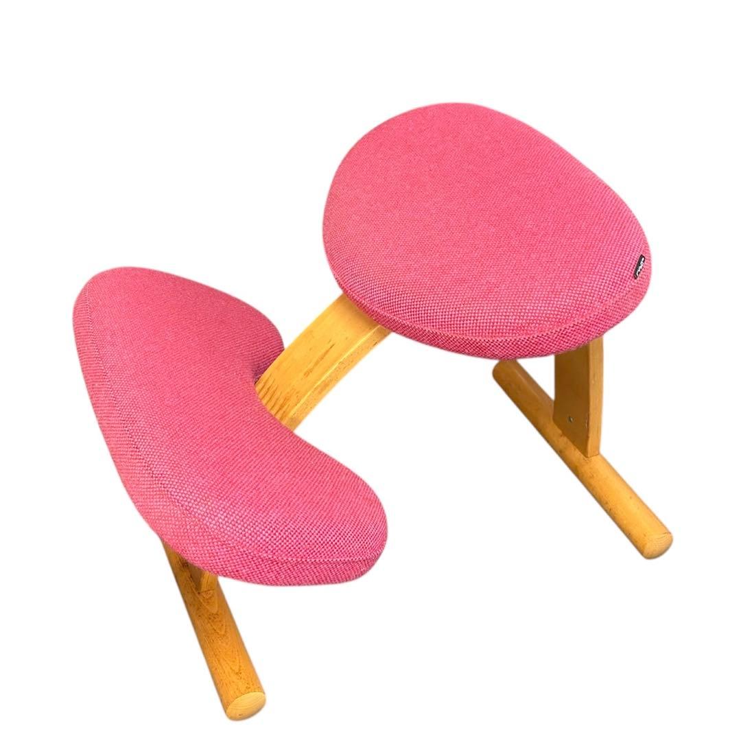 Rybo リボ社 Balans Easy バランスイージー ピンク