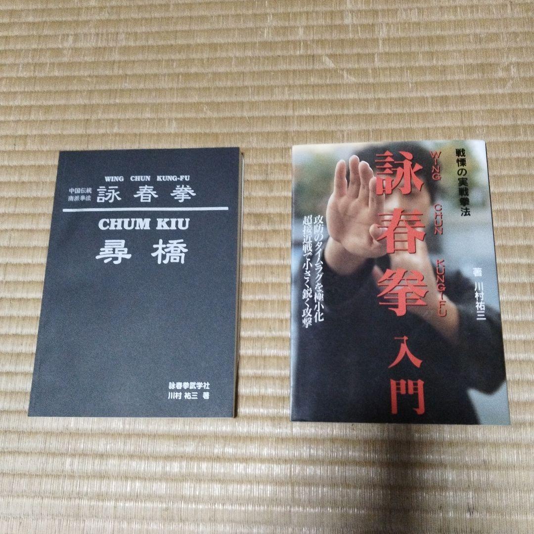 詠春拳入門 & 詠春拳 尋橋