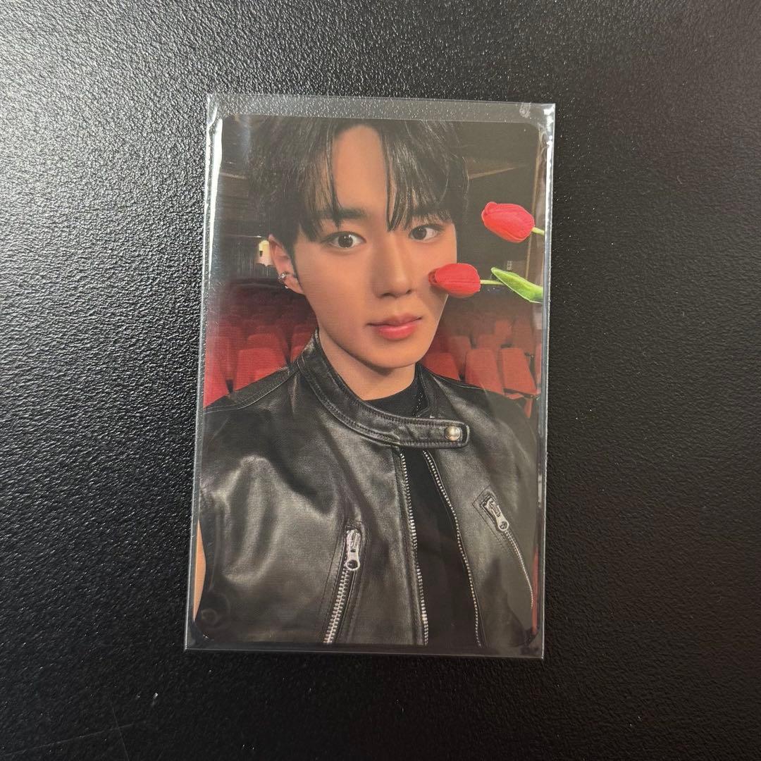 ALD1 サノク トレカ ジュンソ