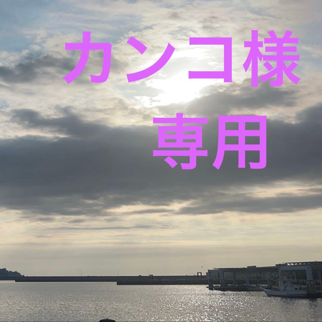 化粧下地4個セット トラベルセット（6点＋ポーチ）ｰフォーミングソニックフェーシャル