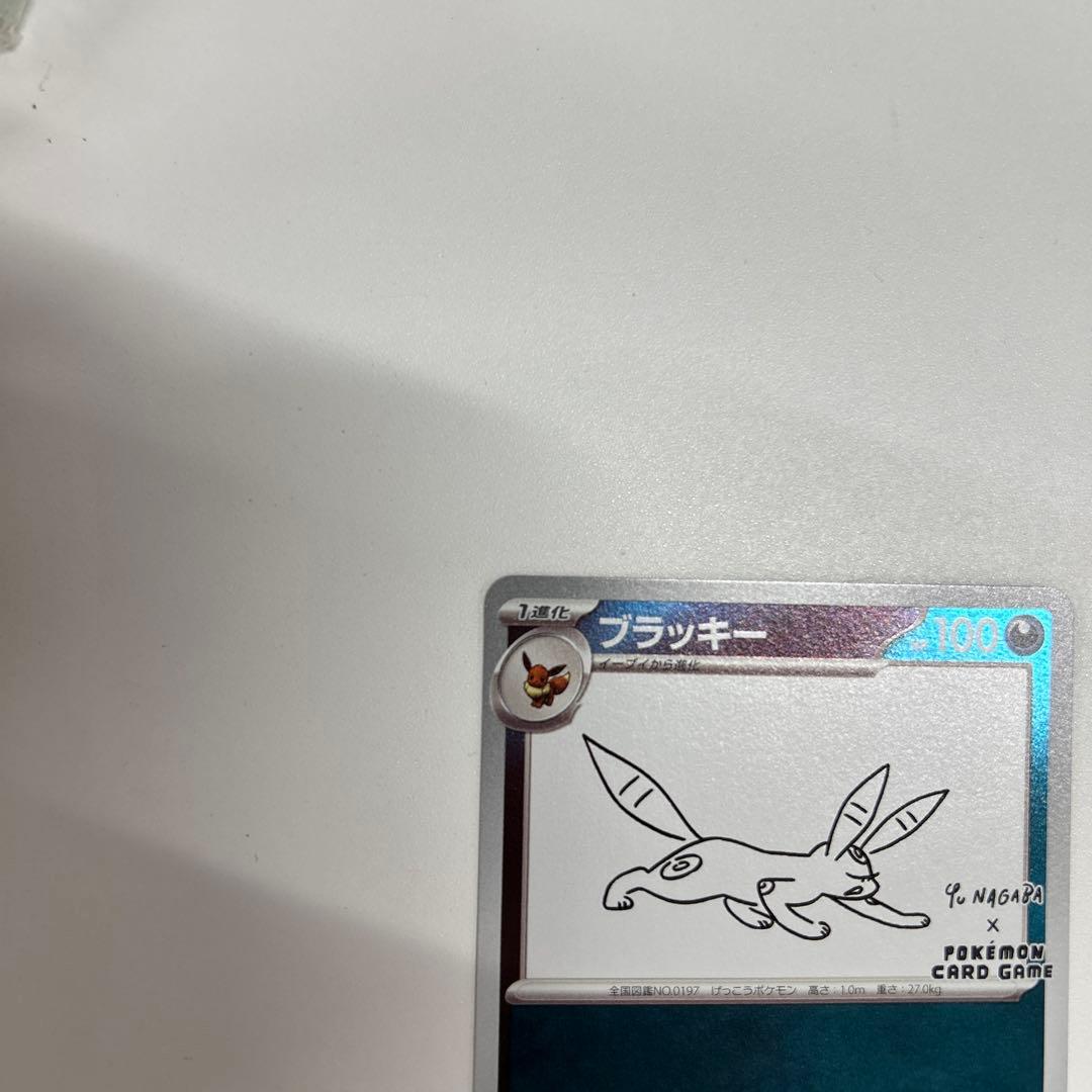 R*様 ブラッキー(YU NAGABA)