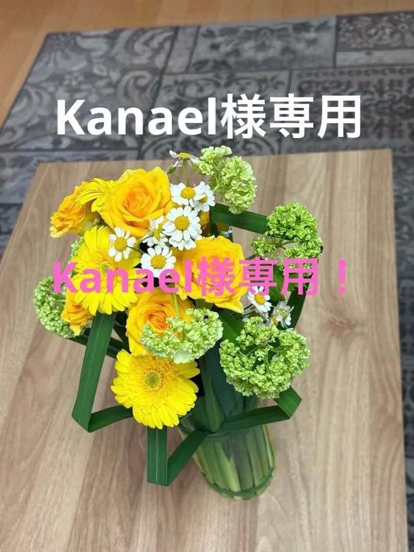 Kanael！コスメ CHANEL ガブリエル シャネル ラディアンス ボディ クリーム(特別限定品