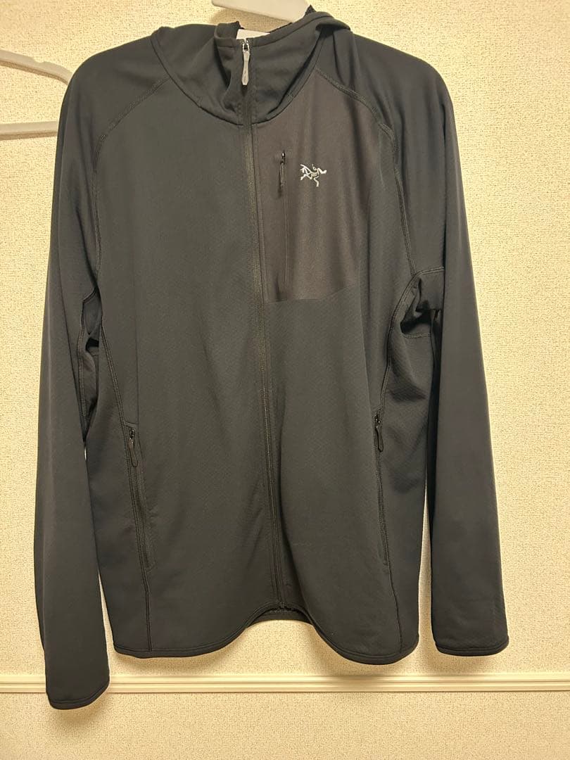 【Lサイズ】Arc'teryx Delta Hoody M