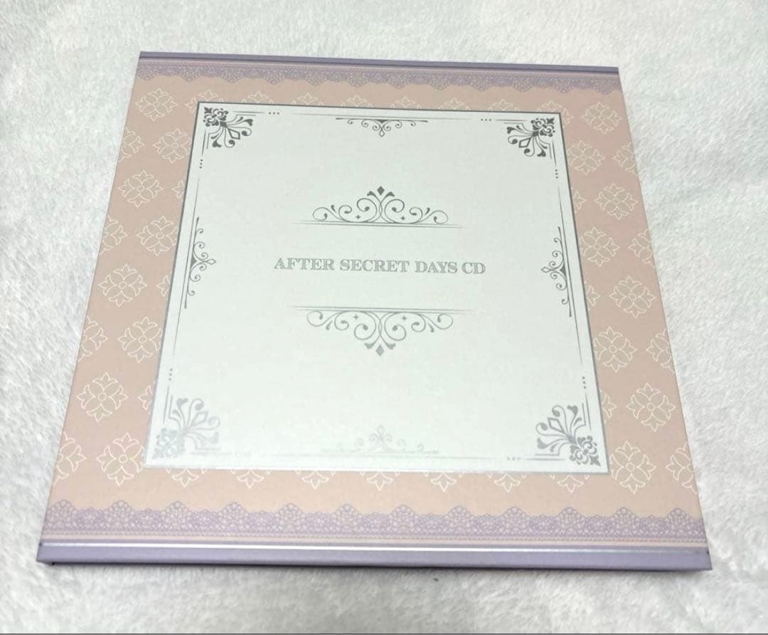 その他 AFTER SECRET DAYS CD