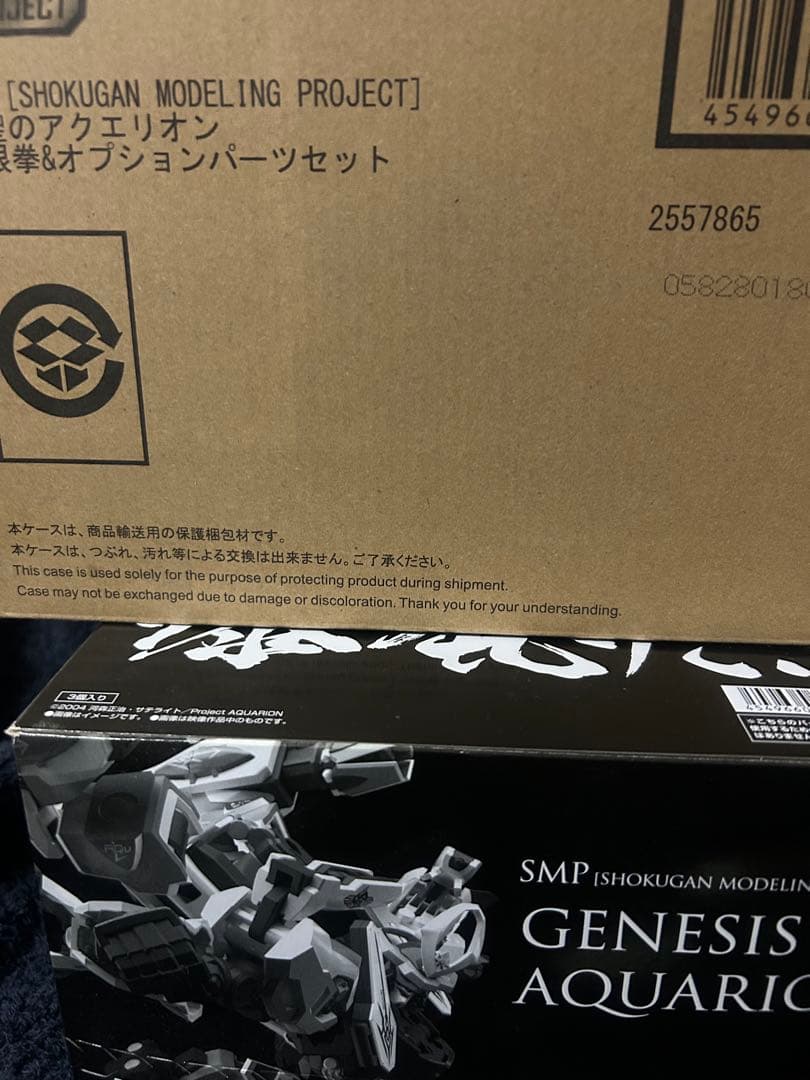 a*様 SMP アクエリオン ＋無限拳オプションパーツセット