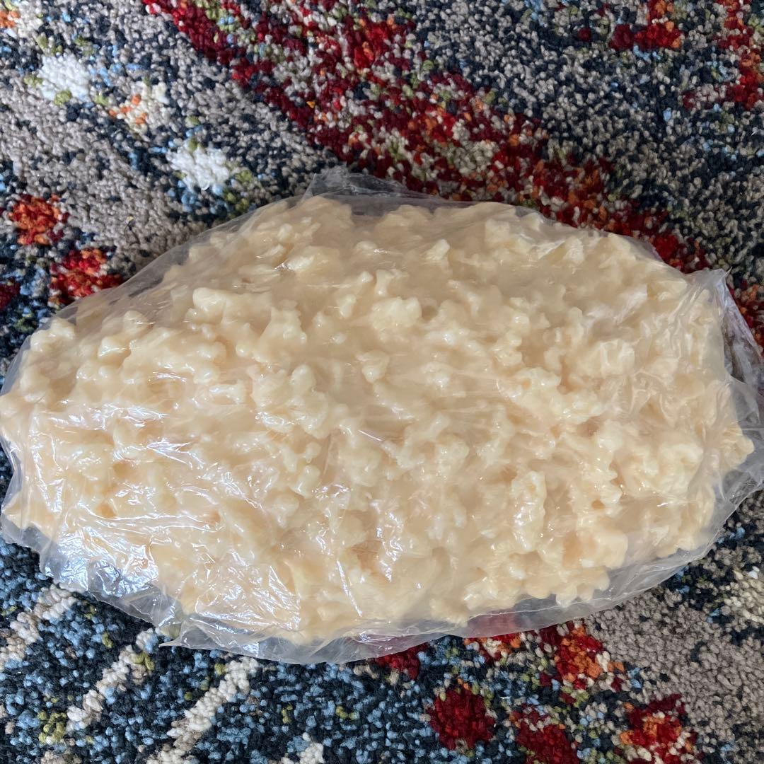 【みやさま専用】脂肪模型　2kg