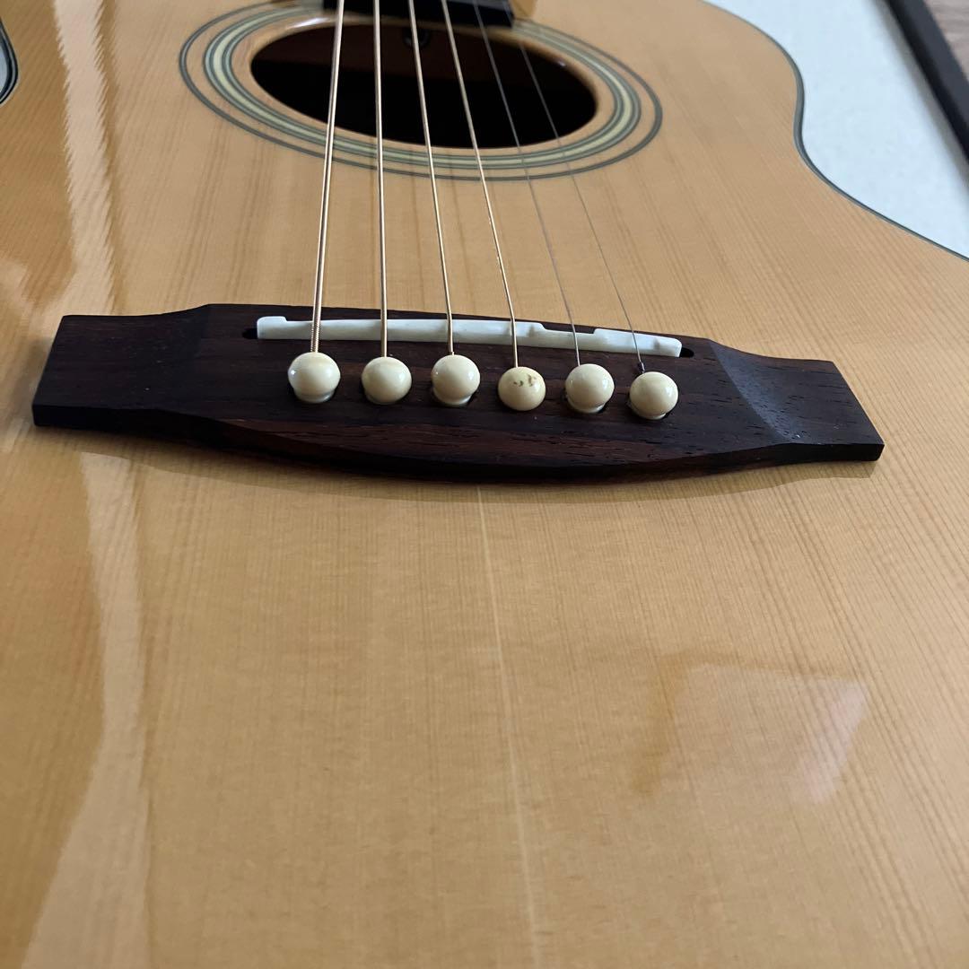takamine T-P1 AN タカミネ パーラーギターアコースティックギター