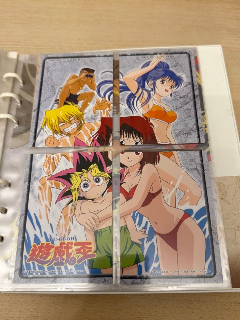 希少】遊戯王コレクションアルバム (バインダー)＋カード50枚 天田印刷