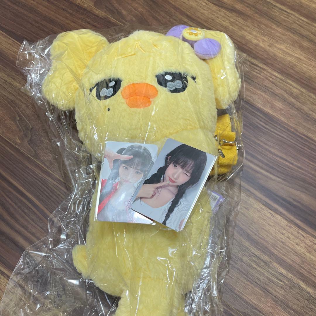 即日・匿名発送　IVE minive ハグバッグ　レイ　トレカ付き 匿名配送】IVE レイ DIPIPACKトレカ 公式 - メルカリ