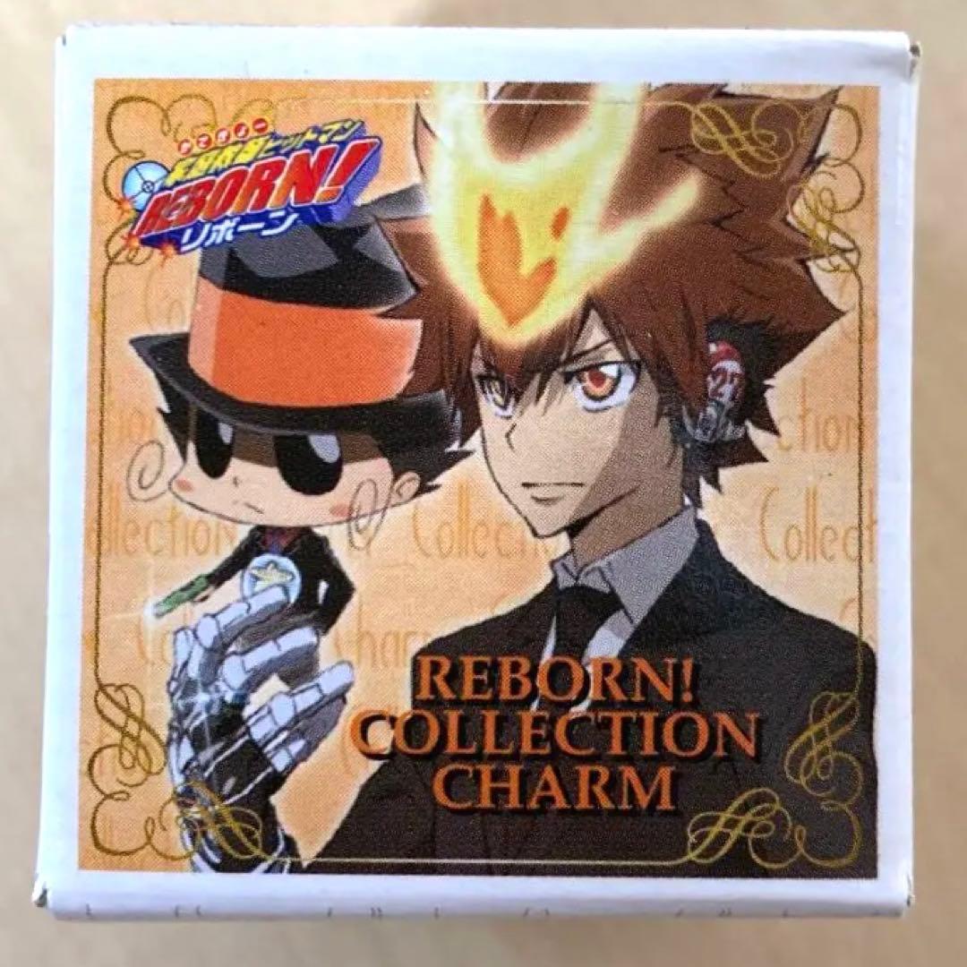 家庭教師ヒットマンREBORN! コレクションチャーム 第4弾 ボンゴレ