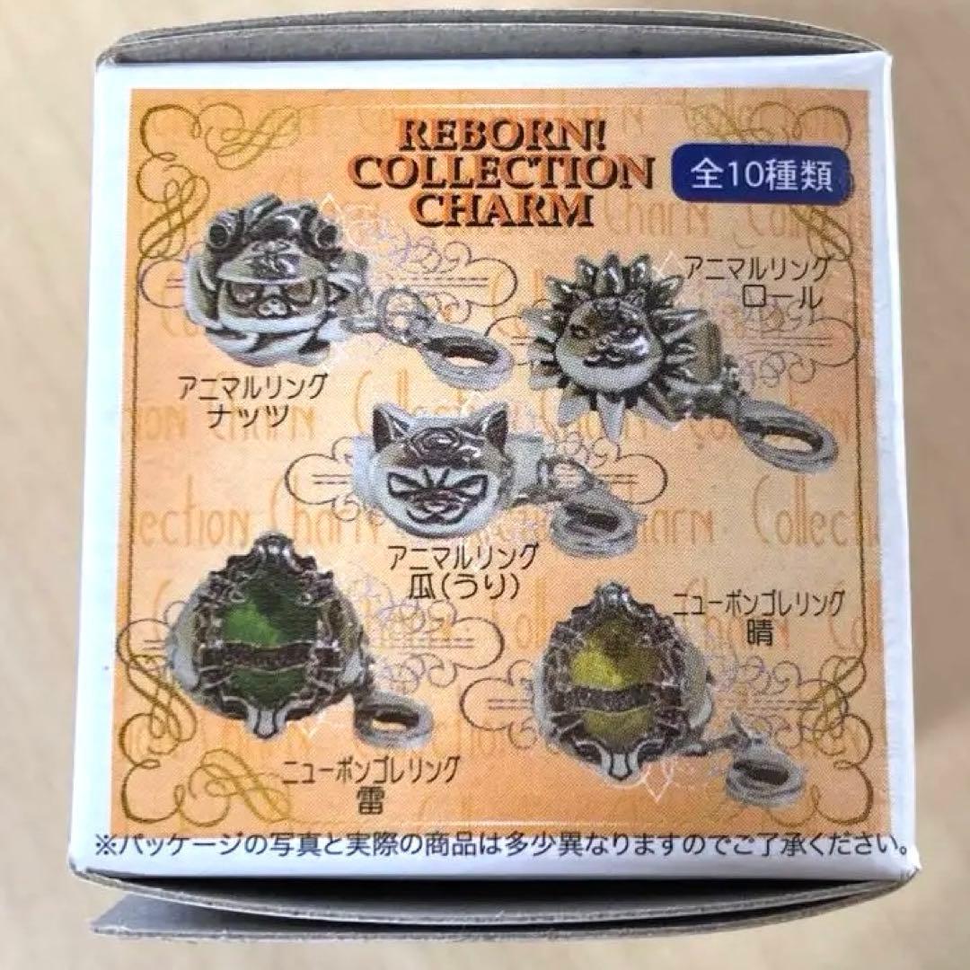 家庭教師ヒットマンREBORN! コレクションチャーム 第4弾 ボンゴレ