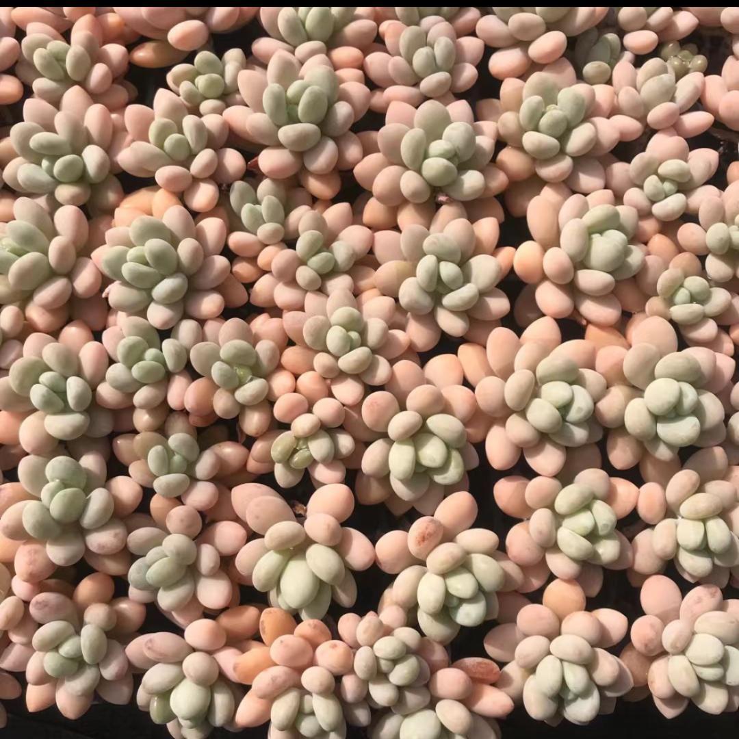 百合様 リクエスト 2点 まとめ商品 - メルカリ