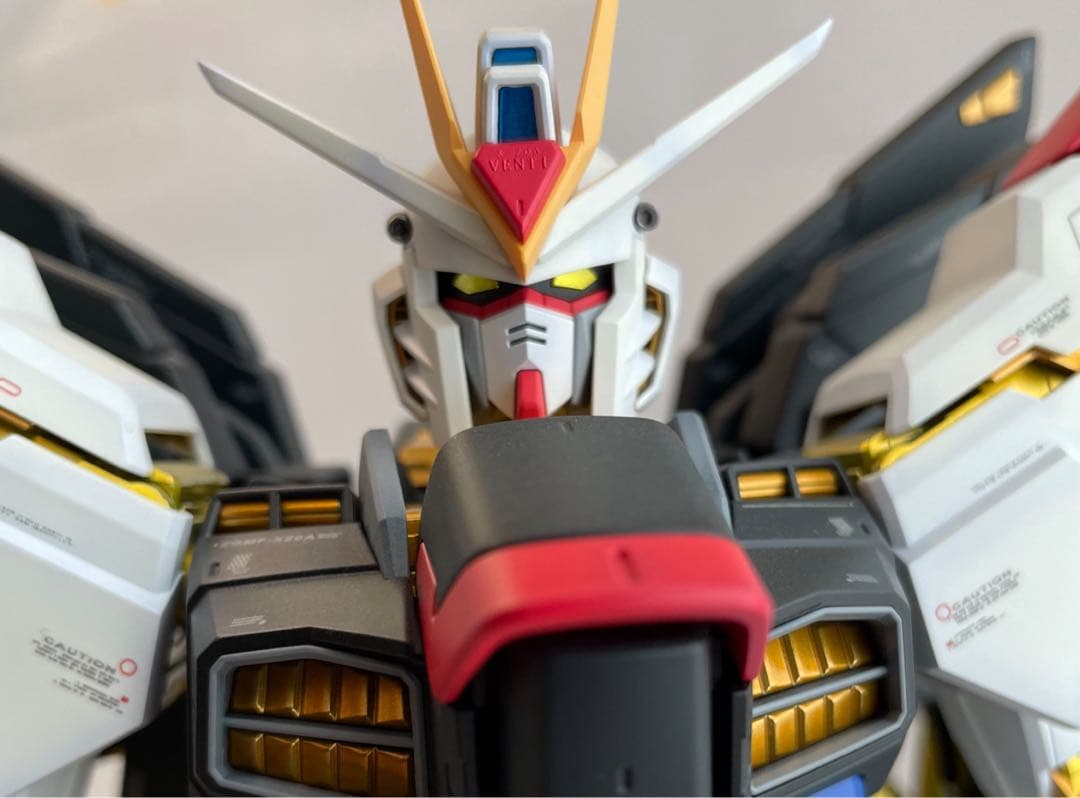 PG ストライクフリーダム ガンダム 塗装済完成品 1/60 Amazon | BANDAI SPIRITS(バンダイ スピリッツ) PG 機動戦士ガンダム