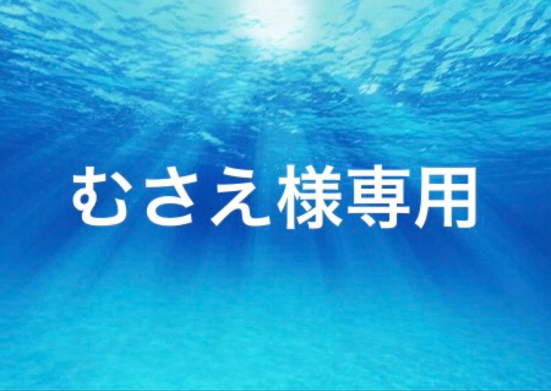 むさえ 　軽やかストレスフリーブラ&ショーツ ⭐️3セット⭐️