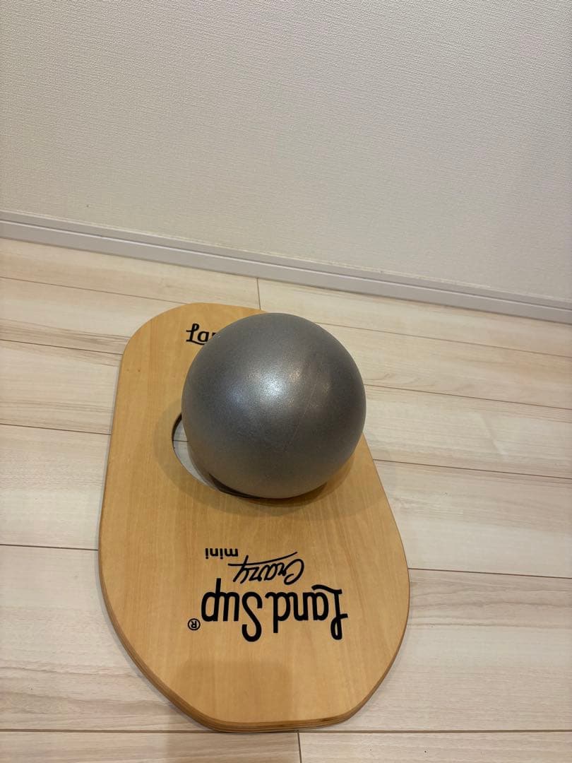 LandSup Crazy mini バランスボード