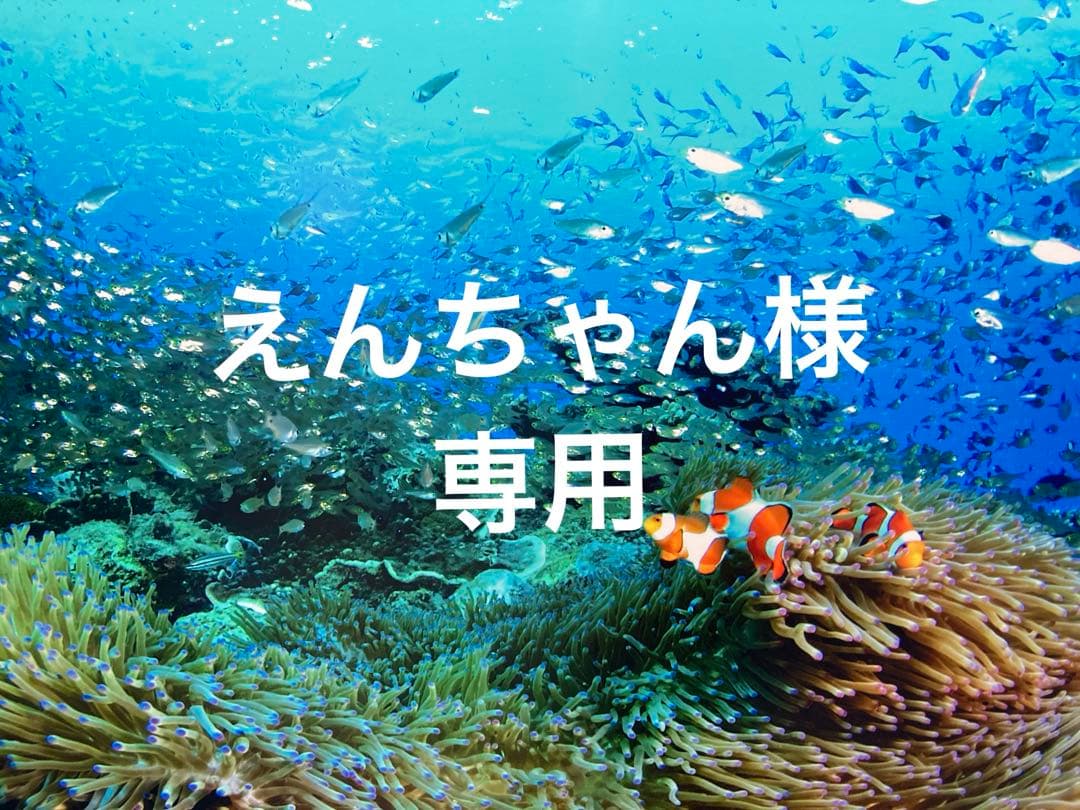 エンビロンCクエンスセラム4プラス クリームプラス