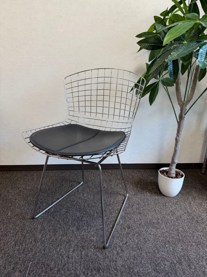 ハリー•ベルトイア チェア ミッドセンチュリー パット付