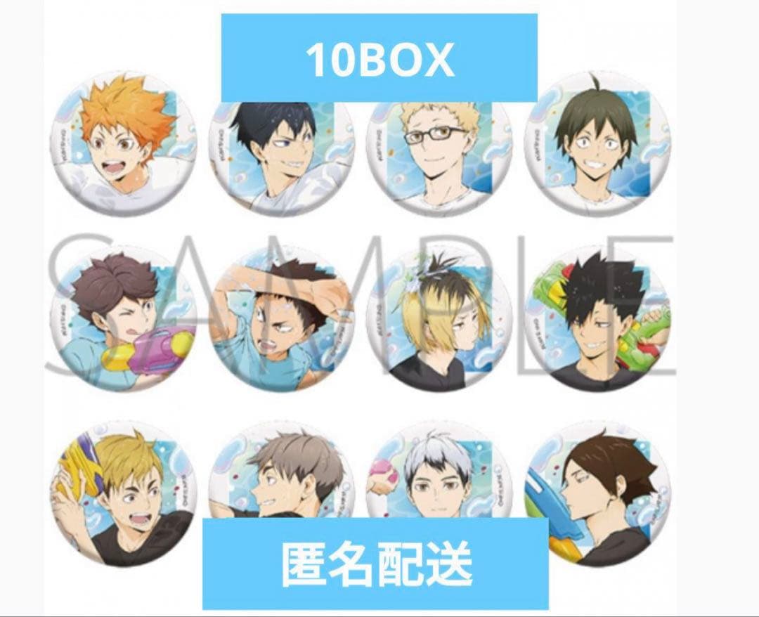 ハイキュー‼︎ 水遊び 缶バッジ 10BOX
