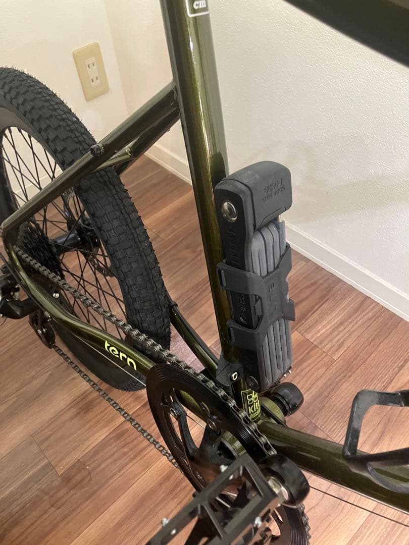 引取限定】tern AMP F1 460 ビビッドモス 福岡県