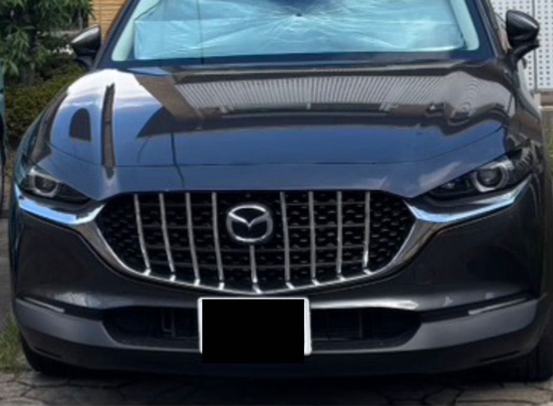 MAZDA CX-30 バーチカルグリルアタッチメント9本ライン マツダ CX-30🚗 ・バーチカルグリル ・艶ありブラック塗装 ・ダブル