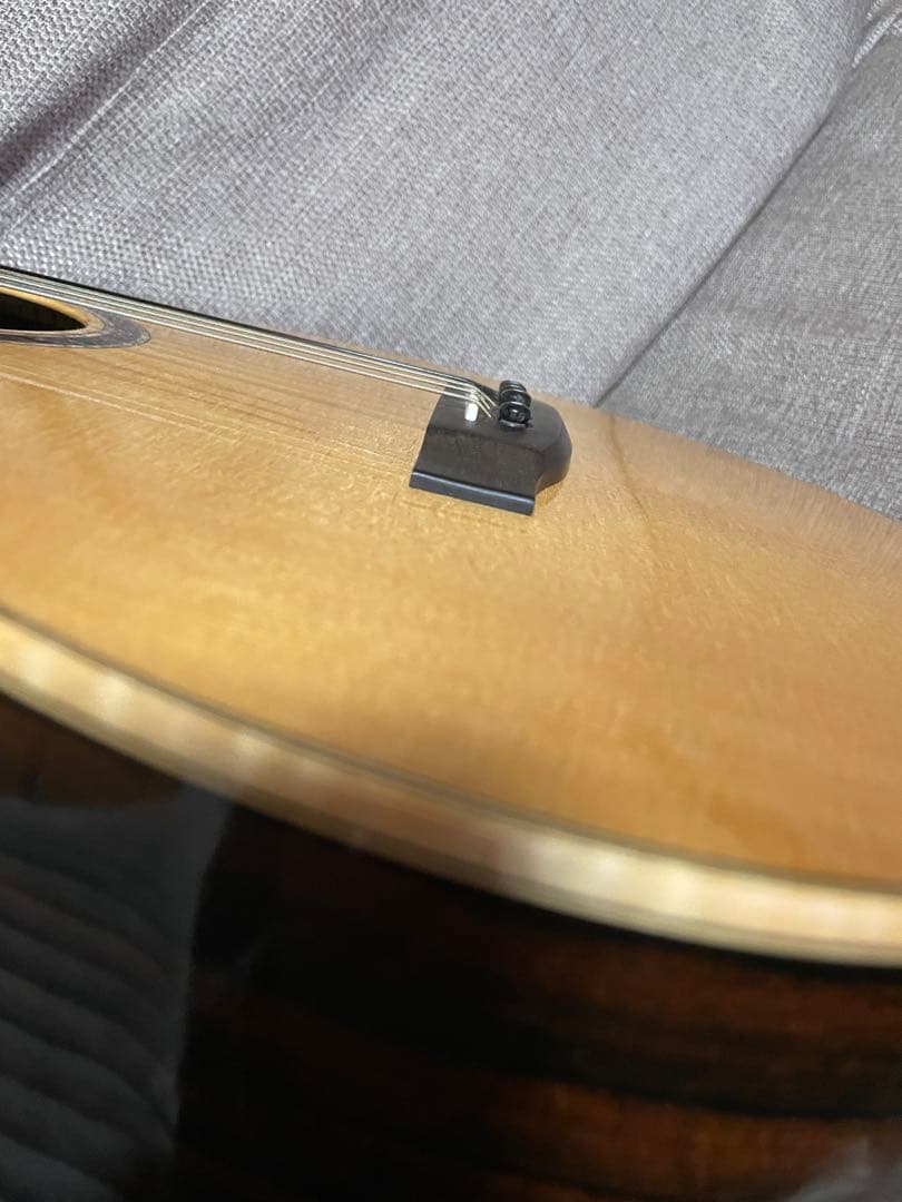 Lakewood A-45 Custom Ziricote Europian