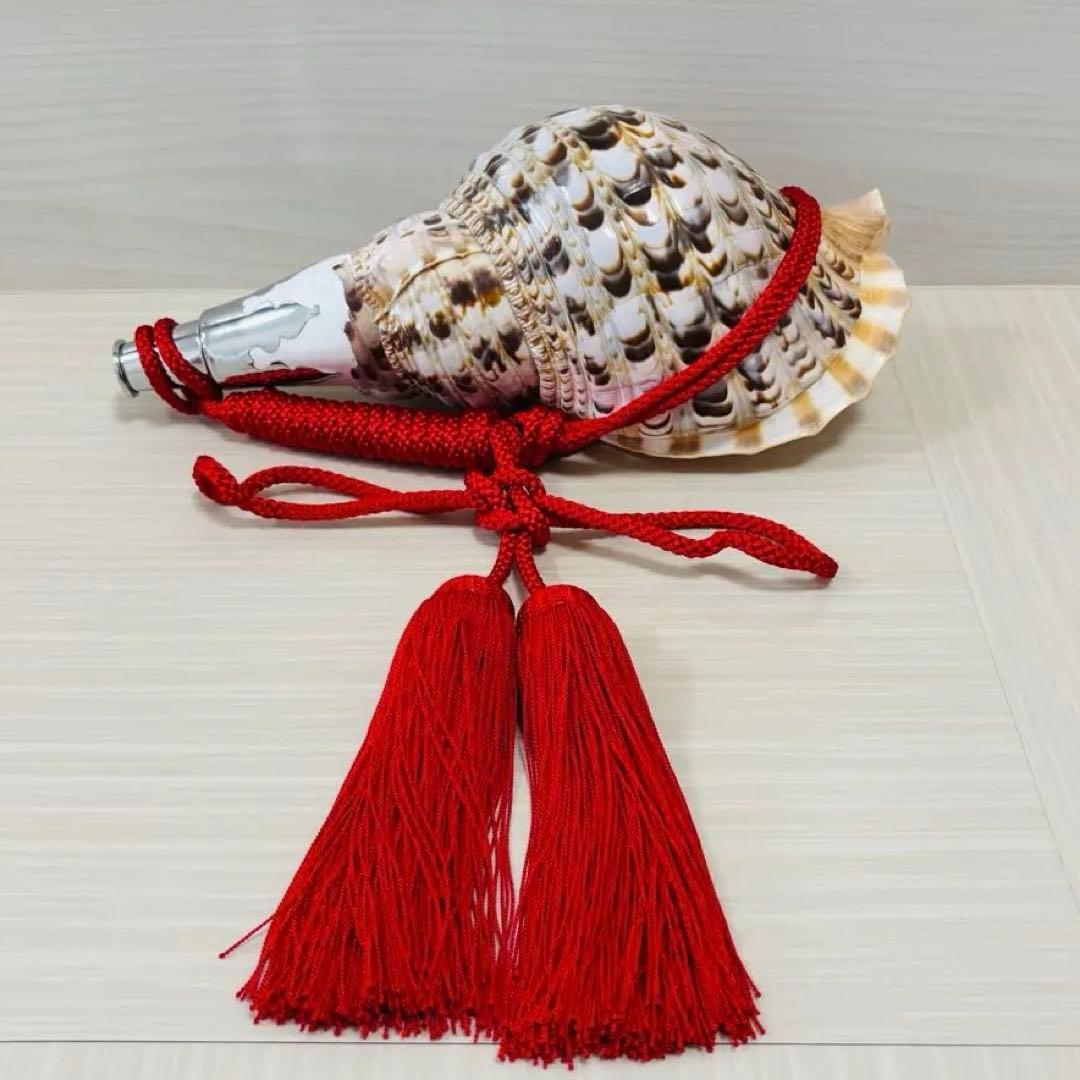 修験道法螺貝　赤紐付き　ほら貝　ホラガイ