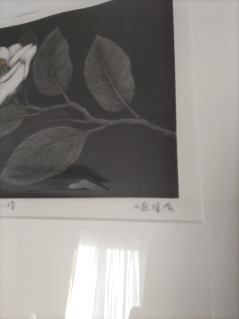 小泉淳作 白い椿 版画 - メルカリ