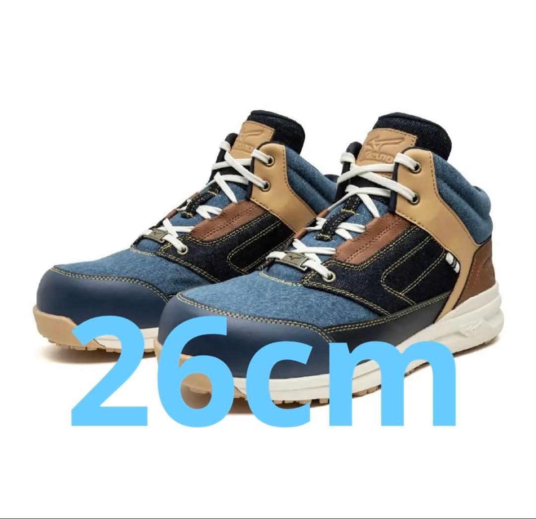 ミズノ限定色安全靴26cm
