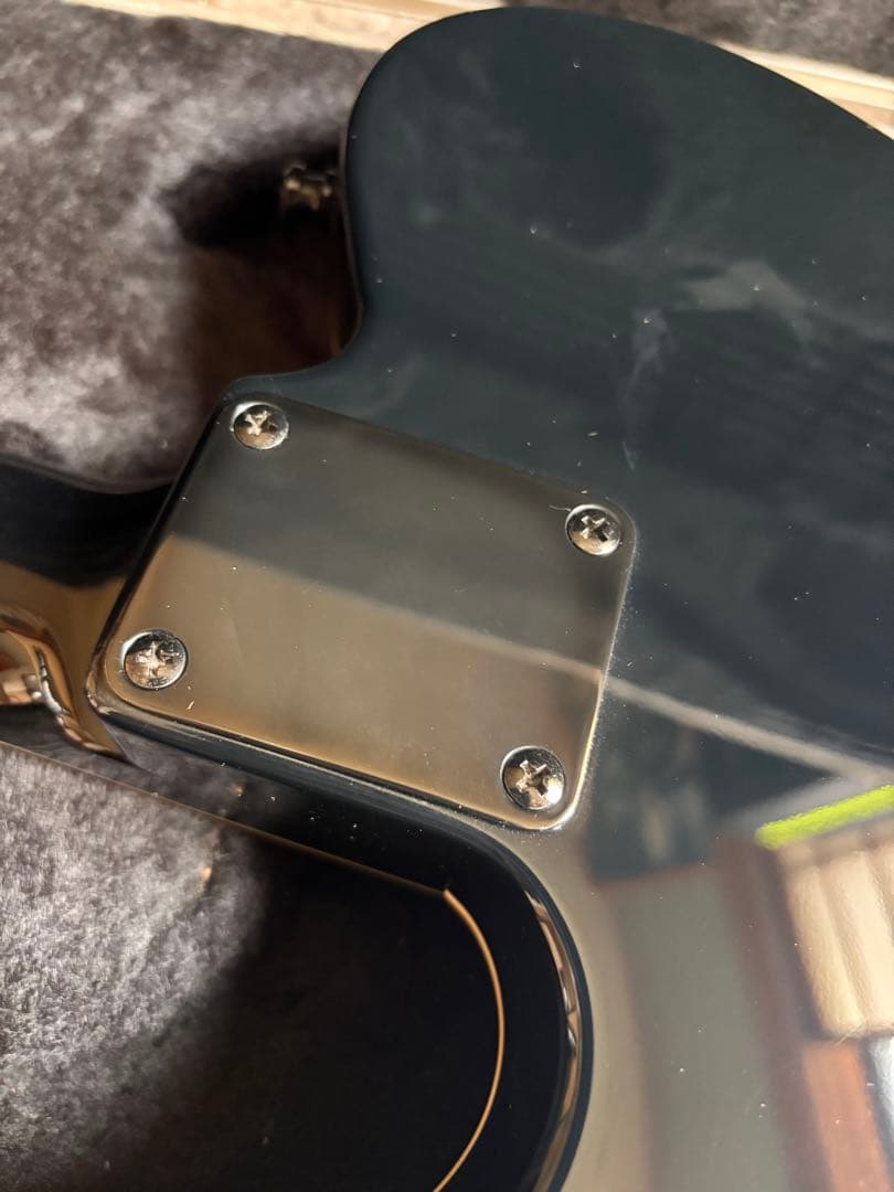 激レア品！FERNANDES TEJ Custom イベント出展品 - メルカリ