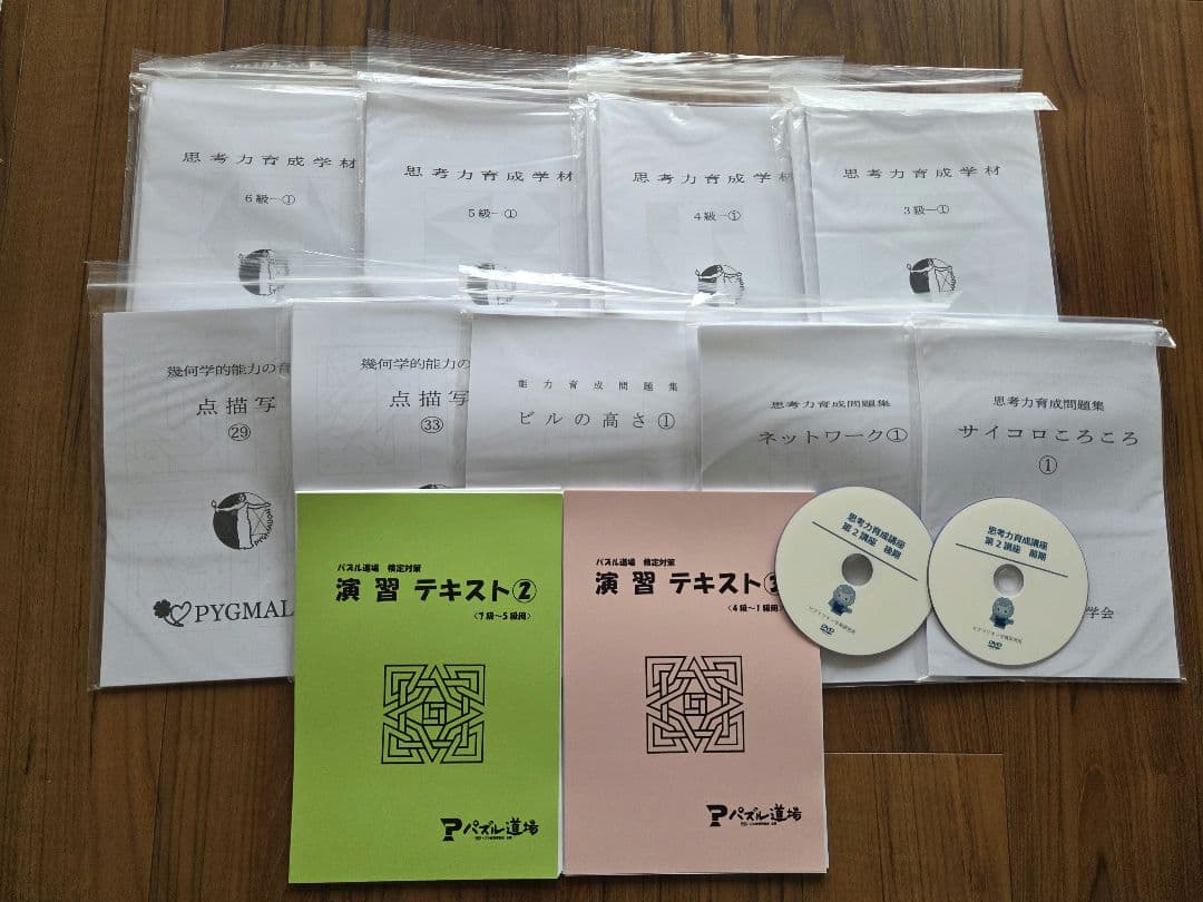 ピグマリオン 思考力育成講座　第2講座 PYGLIの幼児教育・小学校受験 株式会社ピグマリオン / 思考力パズル