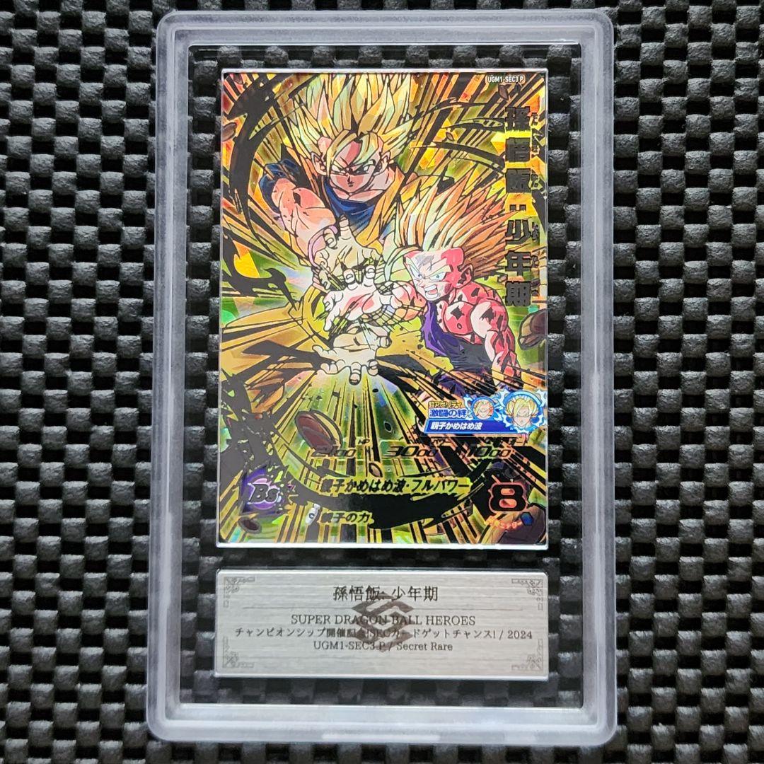 ARS鑑定10 孫悟飯少年期 UGM1-SEC3P ドラゴンボール