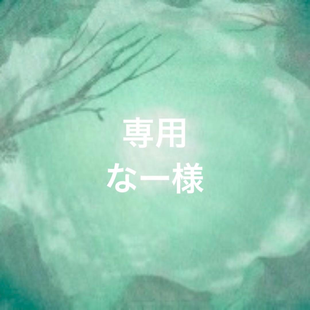 専用ページ なー様①