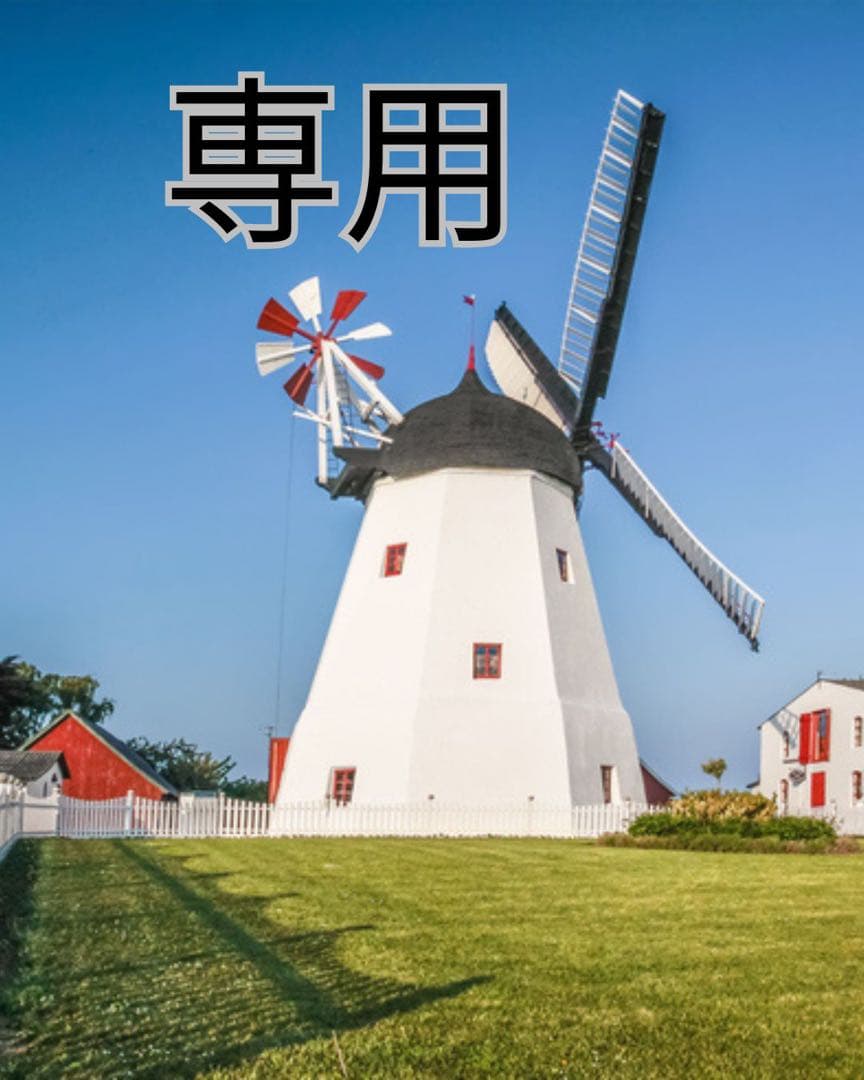 古九谷　色絵　花鳥文　長皿　骨董　希少　アンティーク　手描き 古九谷 色絵 花鳥文 長皿 骨董 希少 アンティーク 手描き 古九谷 色絵